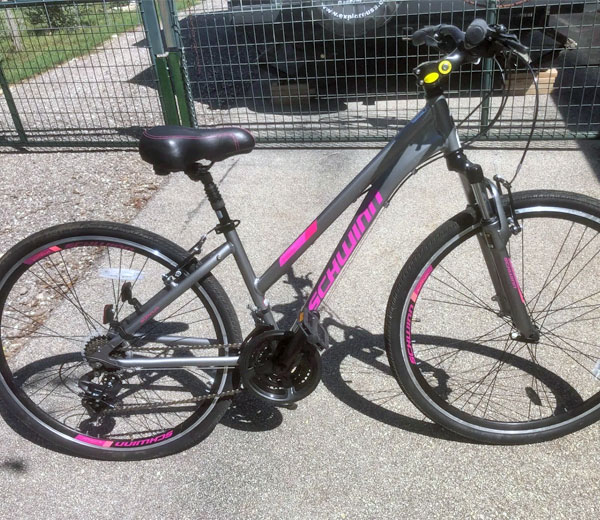 Schwinn Bike